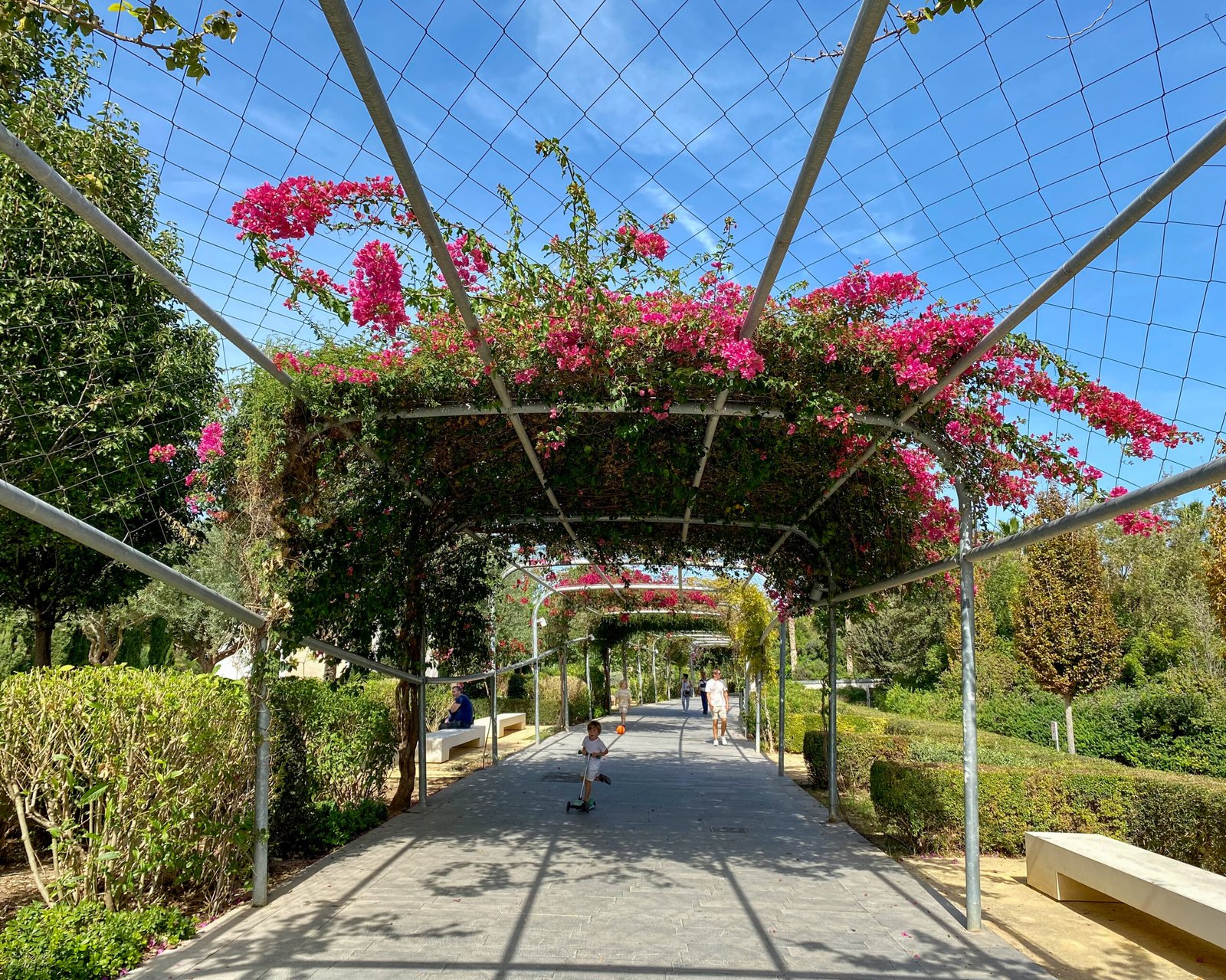 Parc Central of Valencia: A Green Oasis in the Heart of the City